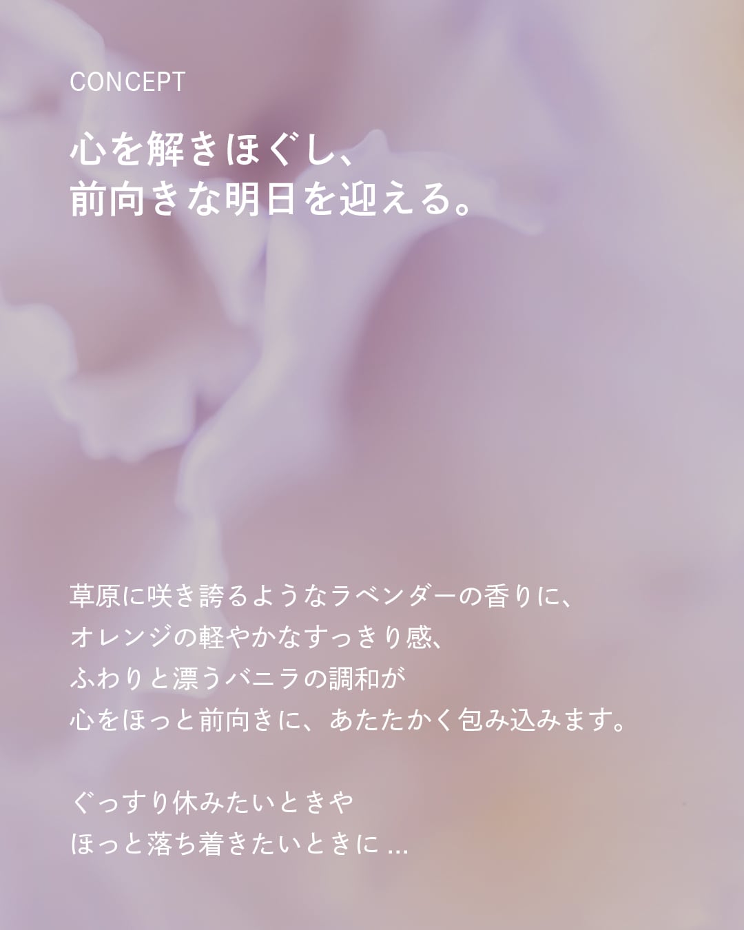 フェムケアオイル 3本セット – Oak OFFICIAL STORE