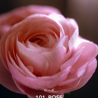 フェムケアソープ 101 ローズ