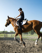 心と体が整う「乗馬」の魅力！全身運動と癒やしの効果
