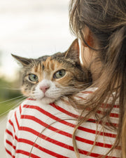 【動物がくれる癒しの力】心がゆるむ理由と取り入れ方について