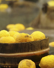 一年の節目「冬至」に。おすすめの養生と避けたいこと。